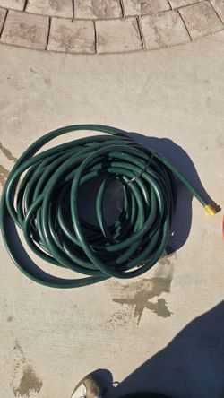 Husky 100ft Water Hose