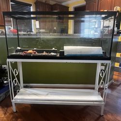 55 Gallon Fish Aquarium