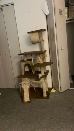 Cat tree need gone