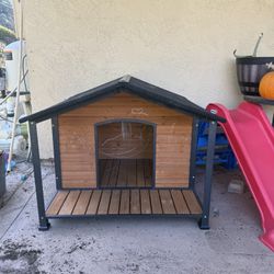 Dog House