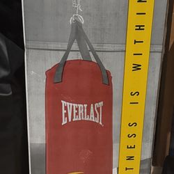 Everlast 40 Pound Heavy Bag Brand New