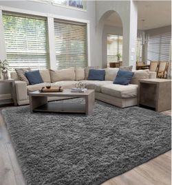 Shag rug 8x10