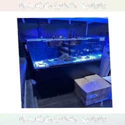 understand wear Top-Grade Aquarium Setup - Premium Quality Standard