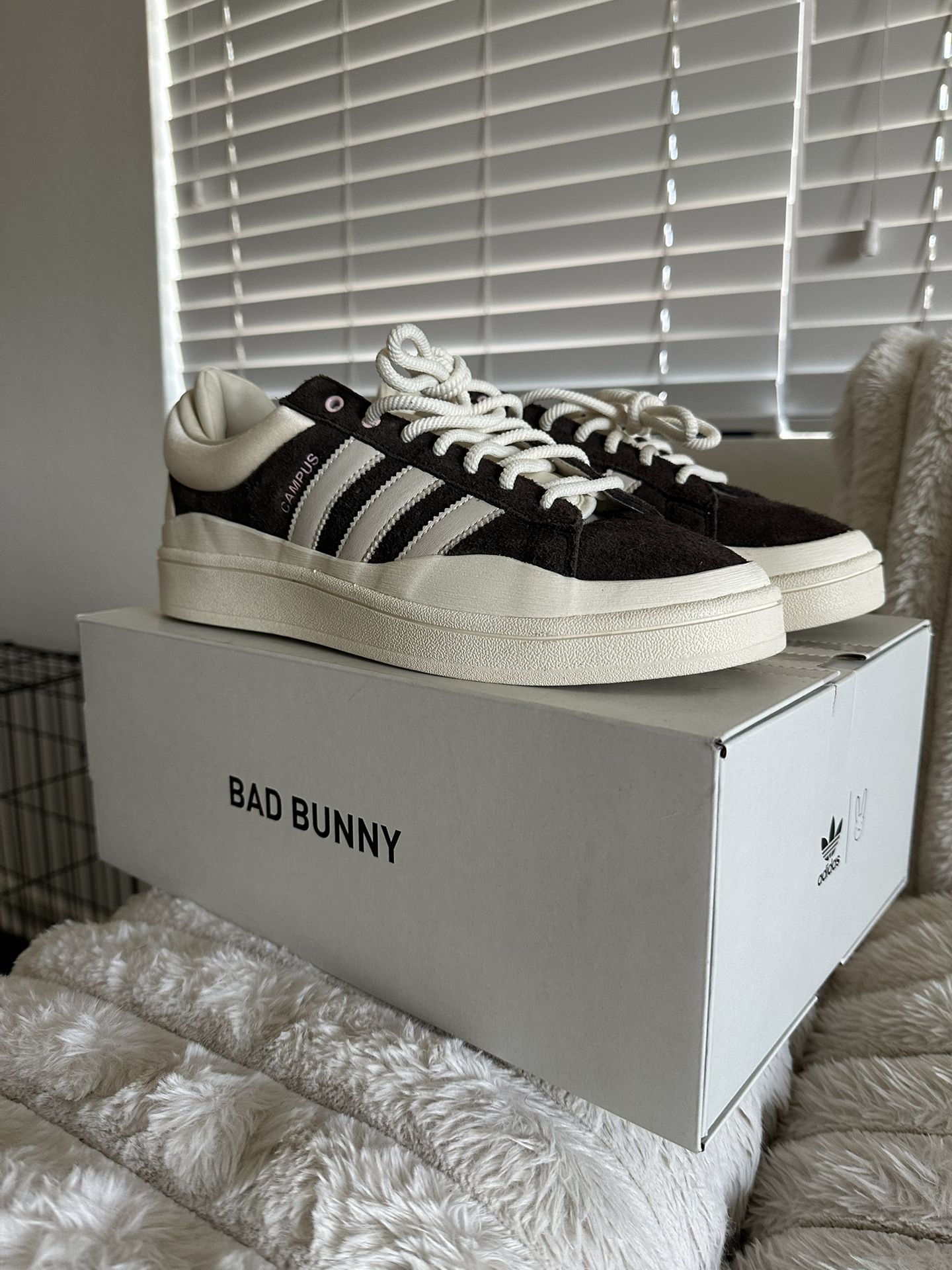 Brand new Bad bunny X Adidas campus Shoe