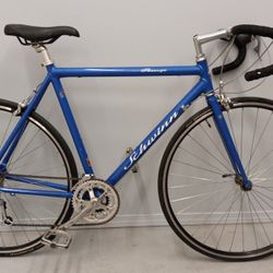 56 Cm Schwinn Passage