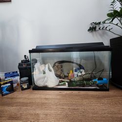 Fish Tank With Fluvel Filter