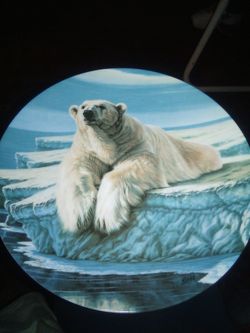 The Polar Bear by Paul Krapf