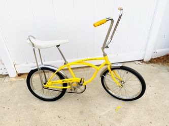 Stingray muscle bike