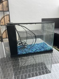 Fish Tank