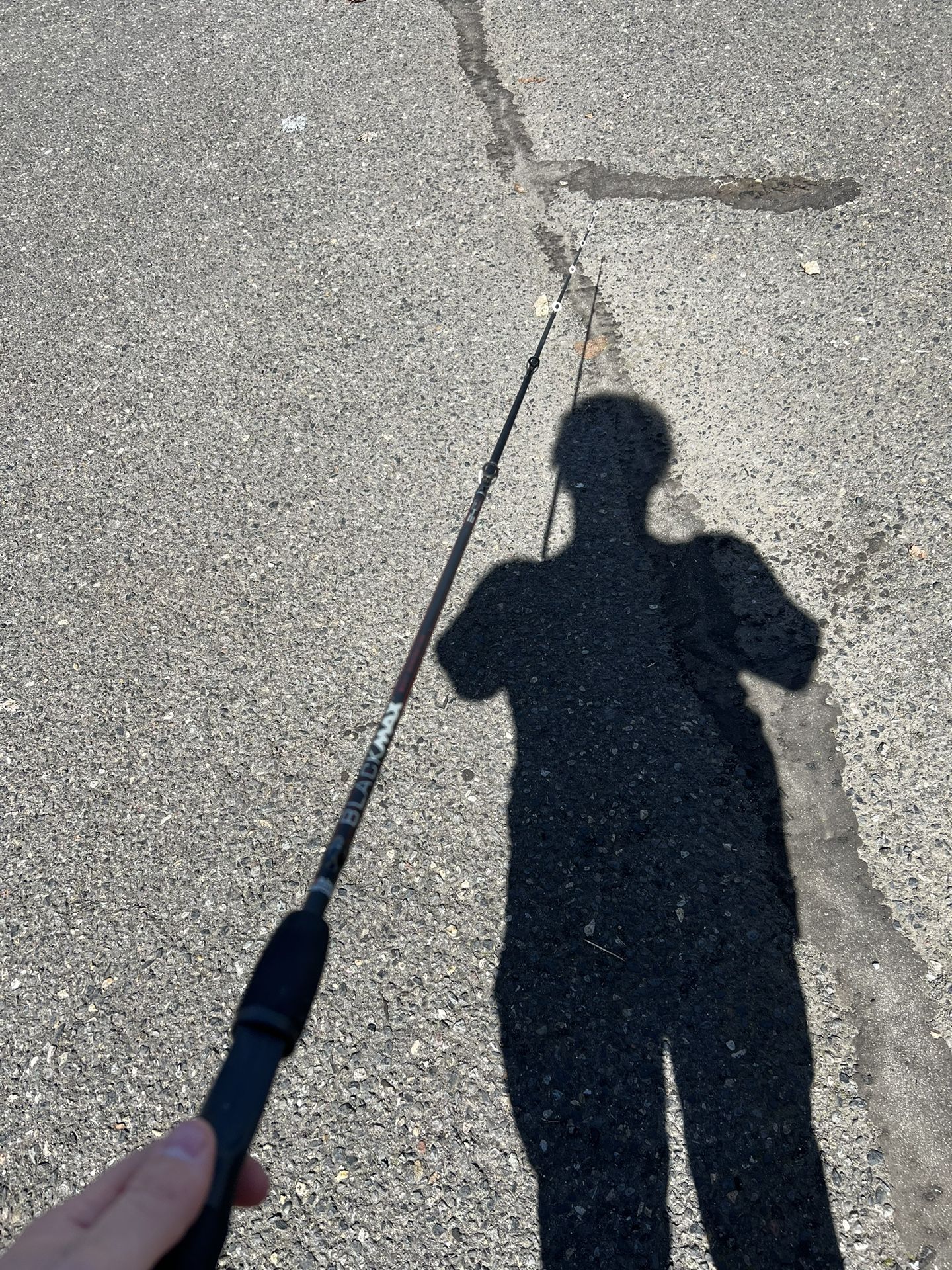 Abu Garcia Black Max Fishing Rod