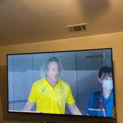 Vizio Tv