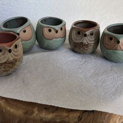 5 Little Owl Pots