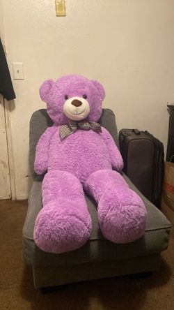 Purple Bear