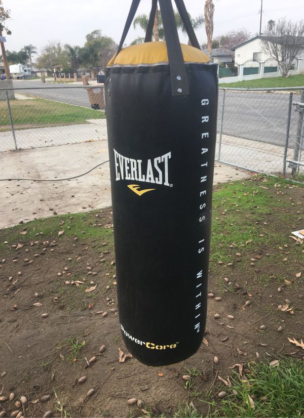 EverLast Punching Bag for Sale in Bakersfield, CA OfferUp