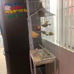 White bird cage  (ORIGINALLY 300)