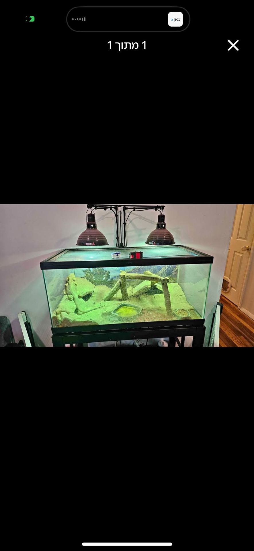Dragon cage