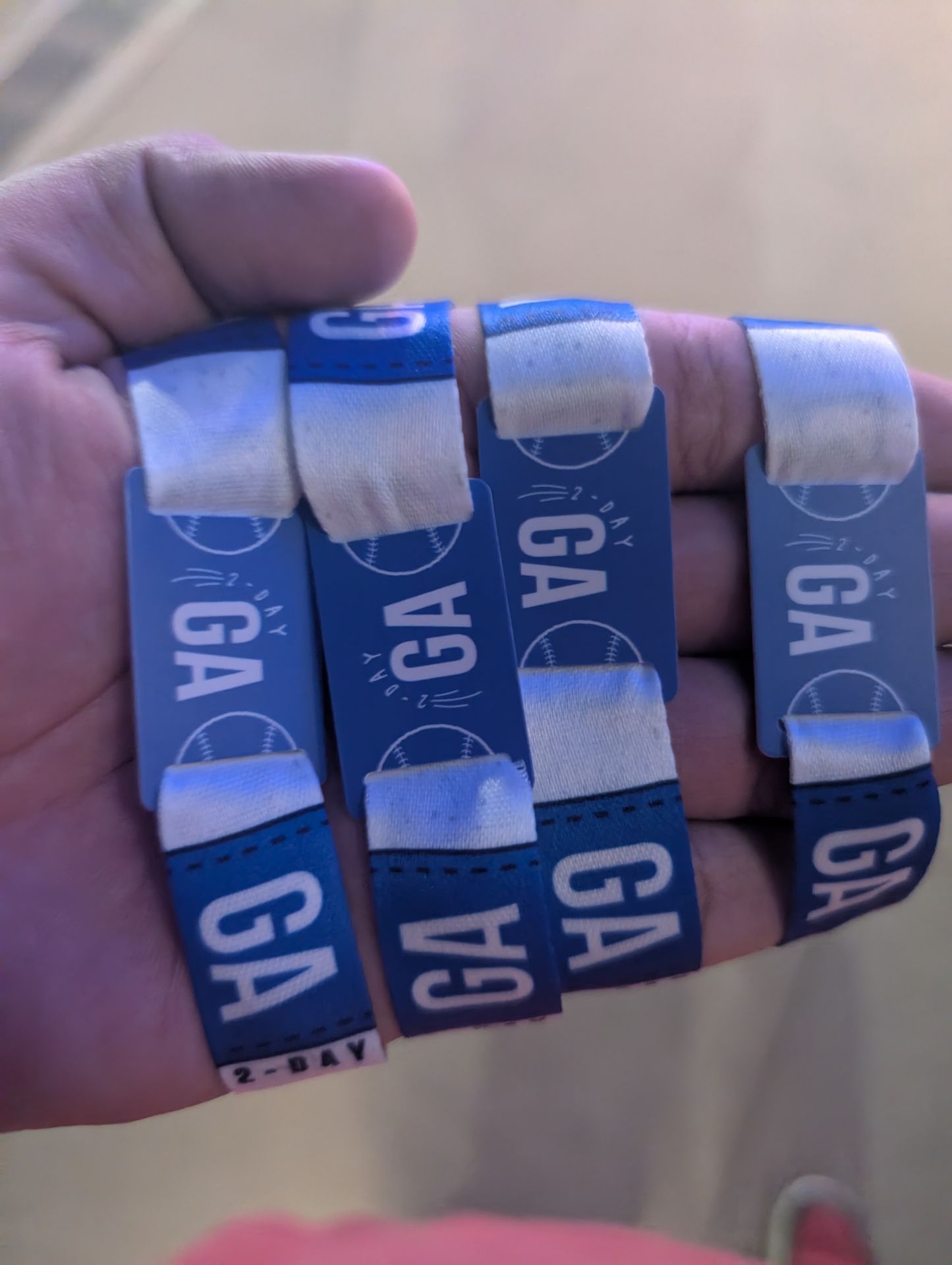 4 General admission for extra innings festival Saturday