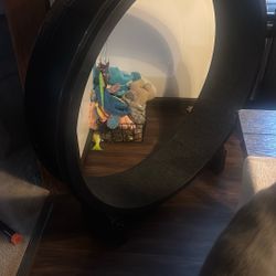 Cat Wheel
