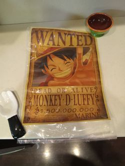 One Piece Wanted Poster