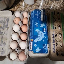Organic Eggs, fertile 