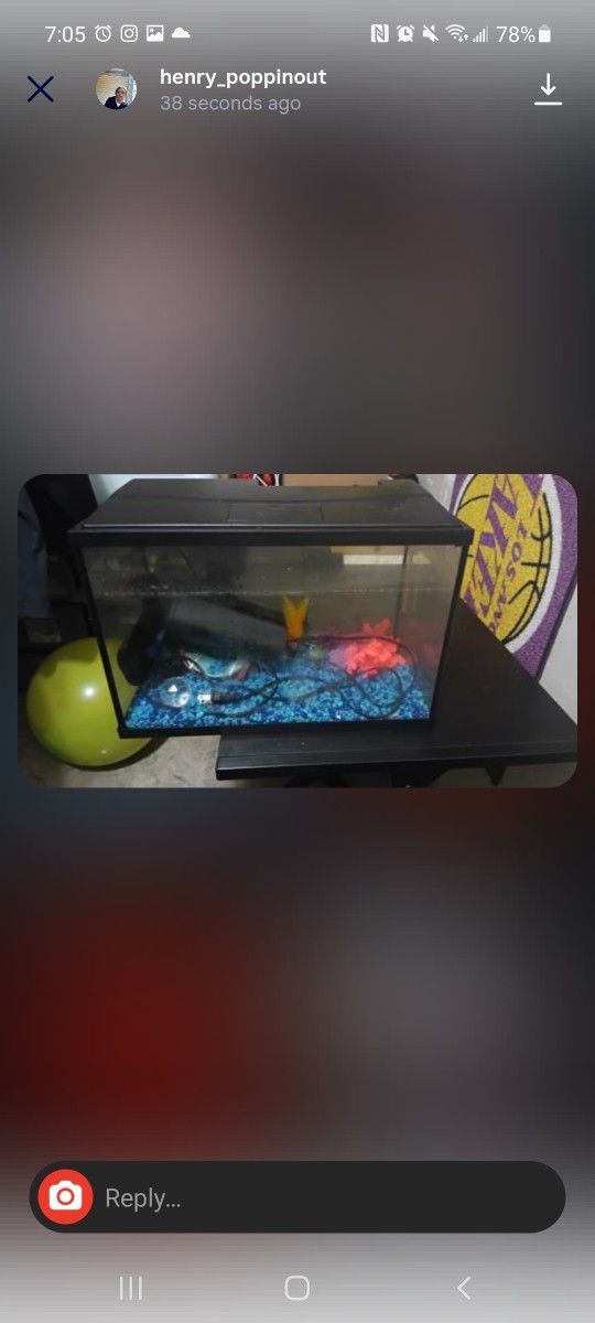 Fish Tank