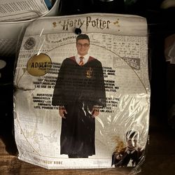 Harry Potter costume 