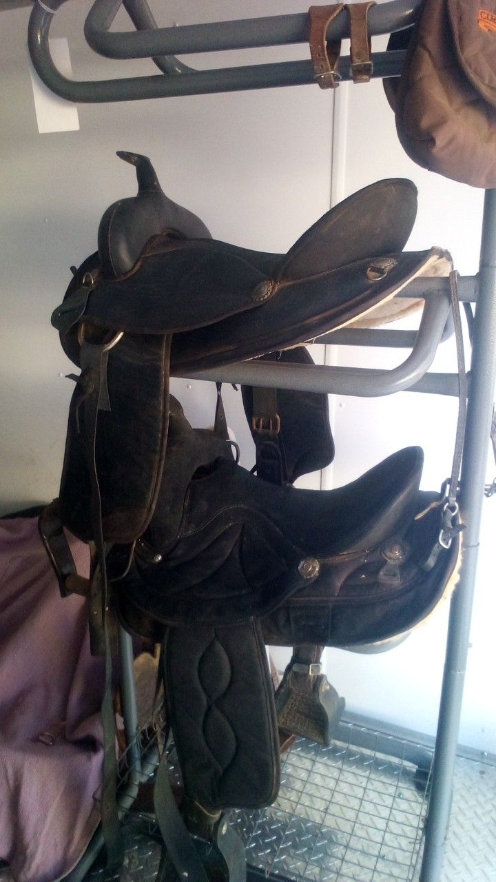 Three Saddle And Rack 
