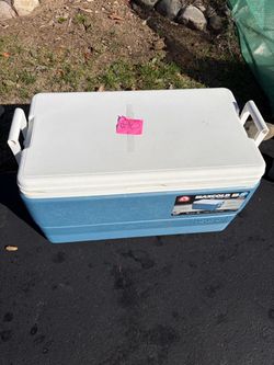 66L Max Cold Cooler with drain plug