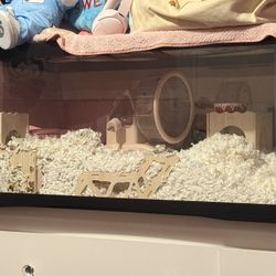Hamster Cage 