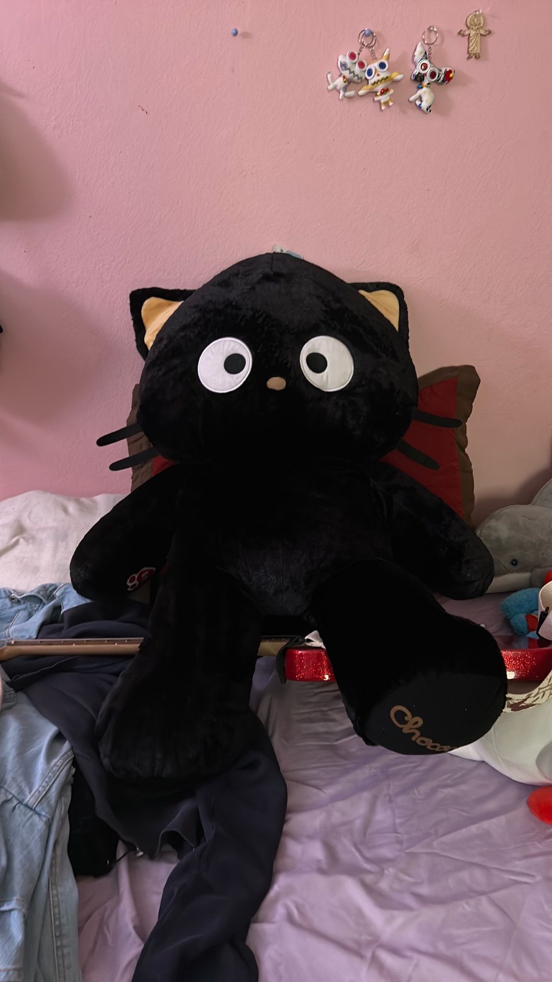 Jumbo Chocó Cat
