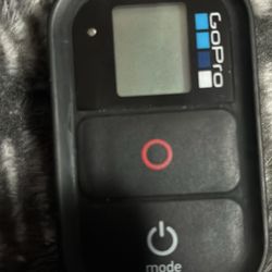 go pro smart remote