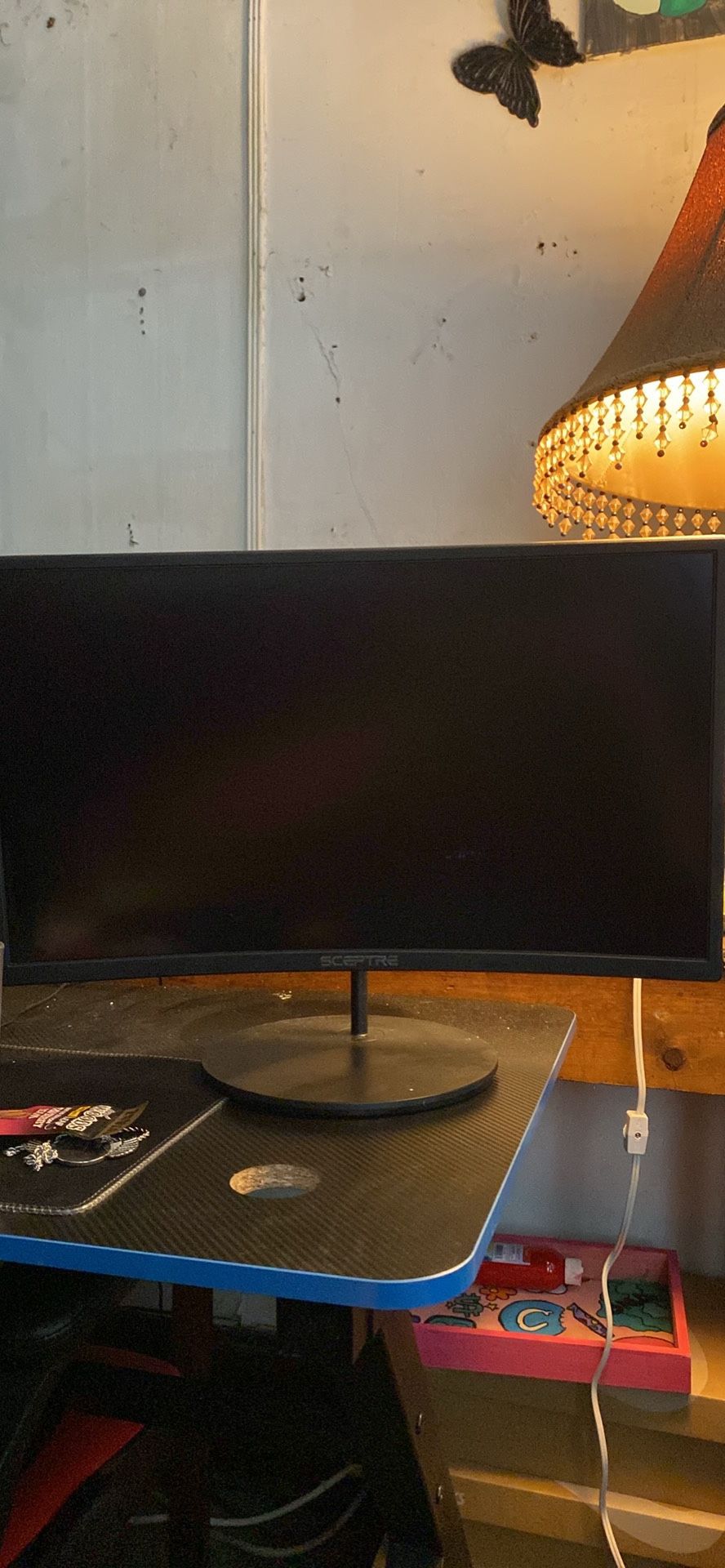 Sceptre Computer Monitor