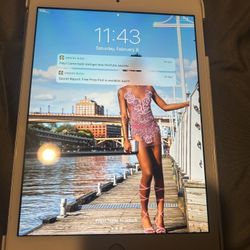 iPad Mini 2