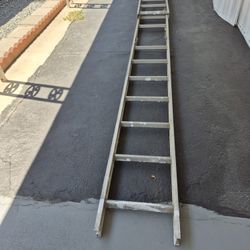 Ladder 19'