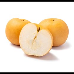 Best Asian Pear Seeding (秋月梨树苗）