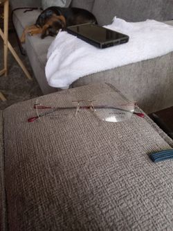 Womens Frames Morel Lightec 30238L