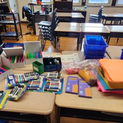 Teacher Classroom Bundle – 12 Lakeshore Book Bins + 50 Notebooks + NEW Expo Markers