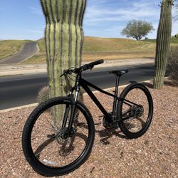 Specialized Mountain Bike