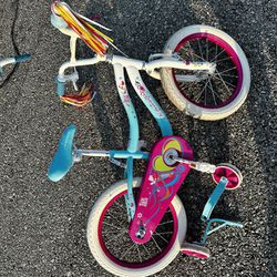 Training wheels bike