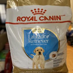 Dog Food