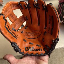 Wilson T Ball Glove. 