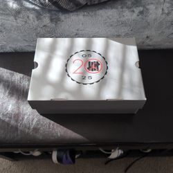 Undefeated Jordan 4 10.5m 