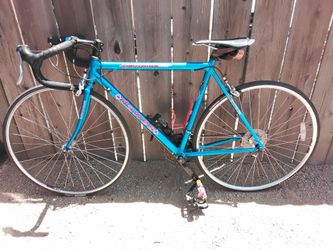 Dawes tour bike