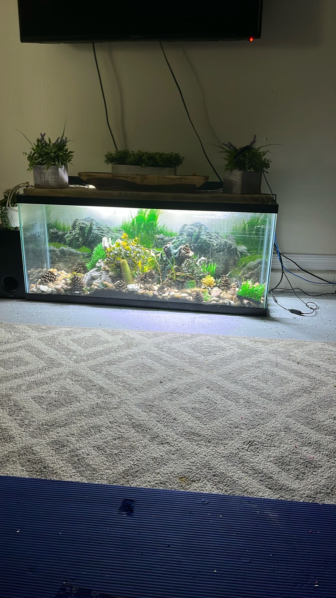 Fish Tank With Every Include 