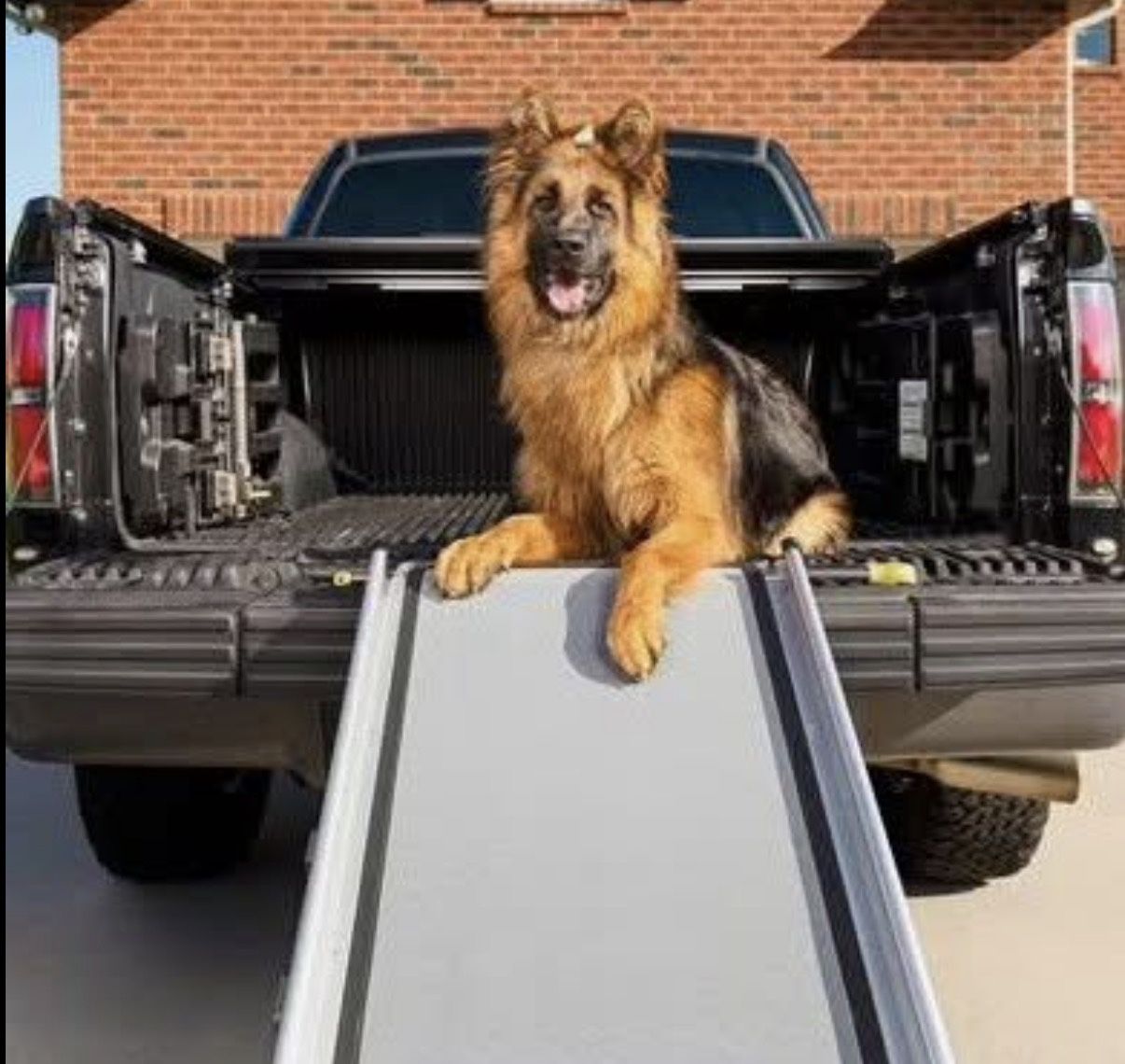 PetSafe Happy Ride Telescoping Dog Car Ramp X Large Black