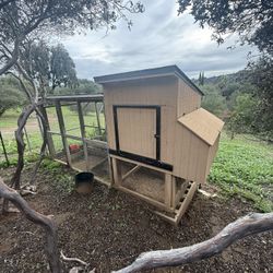 Chicken Coop