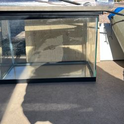 10 Gallon Fish Tank