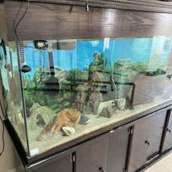 150 Gallon Fish Tank
