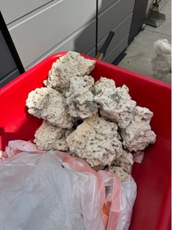 Coral base rock