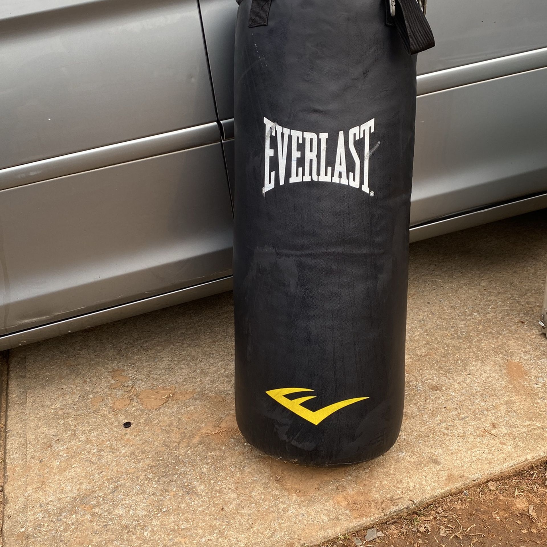Everlast Punching Bag